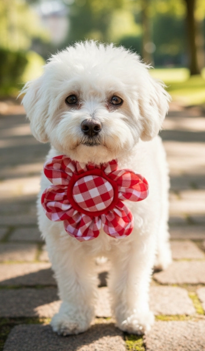 Sunday Picnic Red Gingham Collar Flower