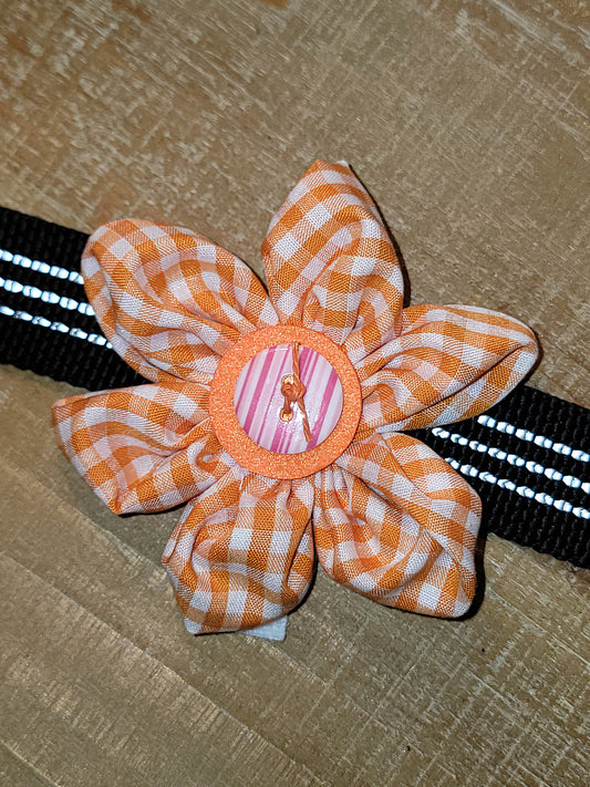 Orange Gingham Collar Flower