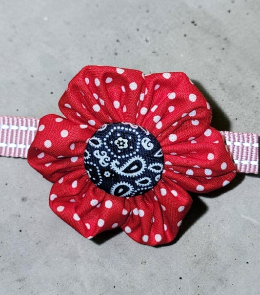 Blue and Red Western Collar Flower