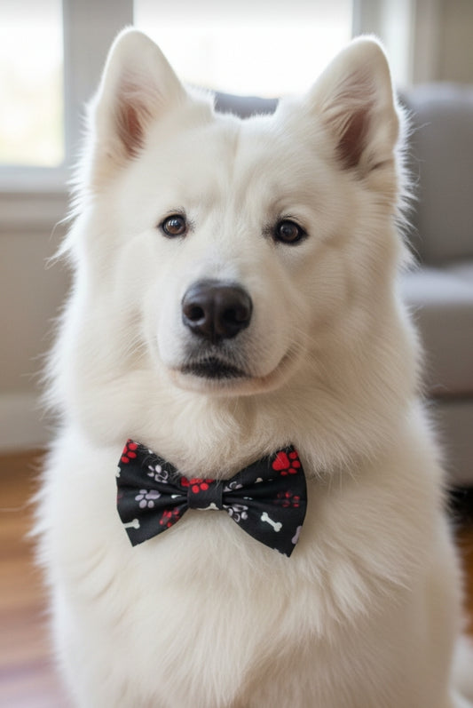 Paw Prints and Bones Bow Tie