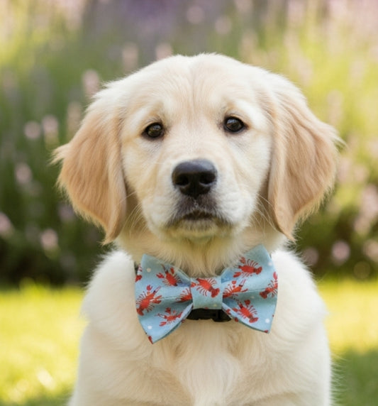 Lobster Print Bow Tie