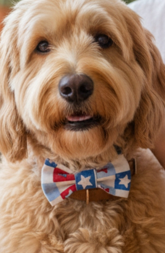 USA Classic Bow Tie