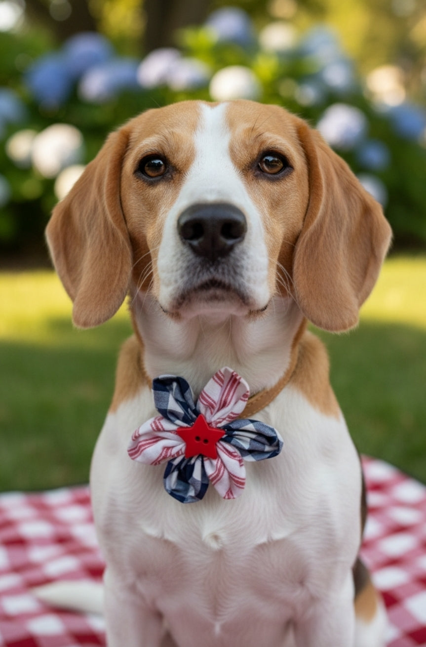 Center Star USA Collar Flower