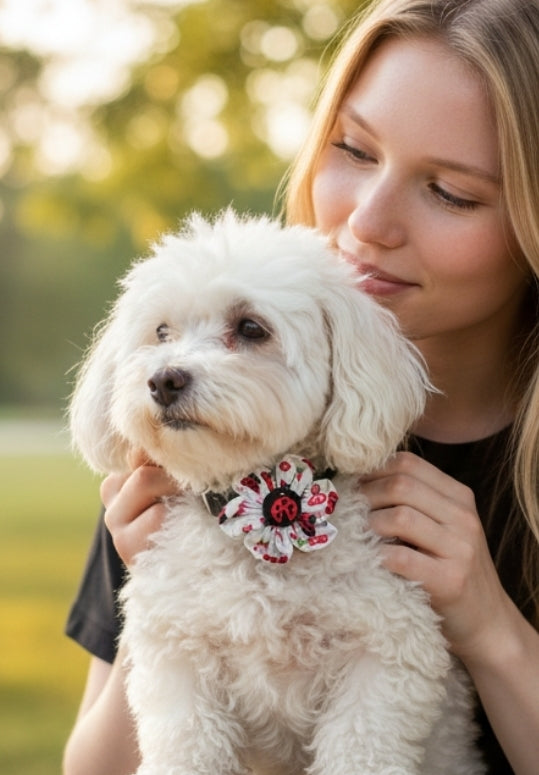 Ladybug Print Pet Collar Flower