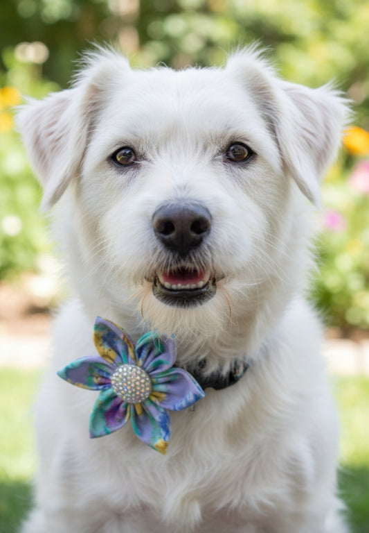 Pastel Dreams Collar Flower