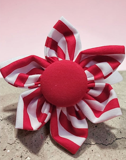 Red and White Pinwheel Collar Flower