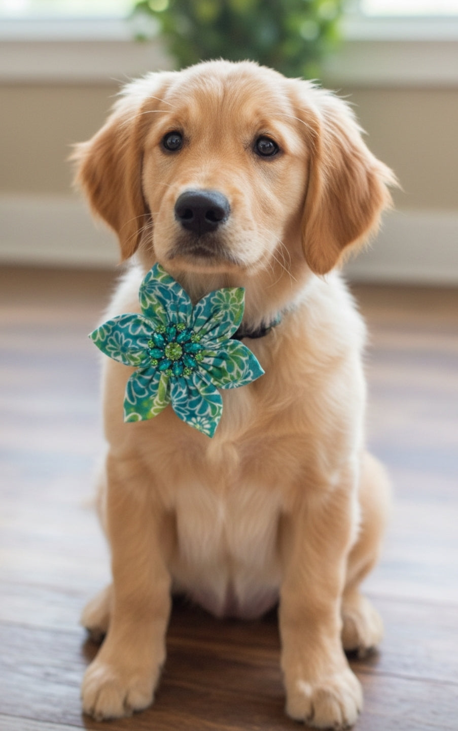 Aqua Daisies Collar Flower