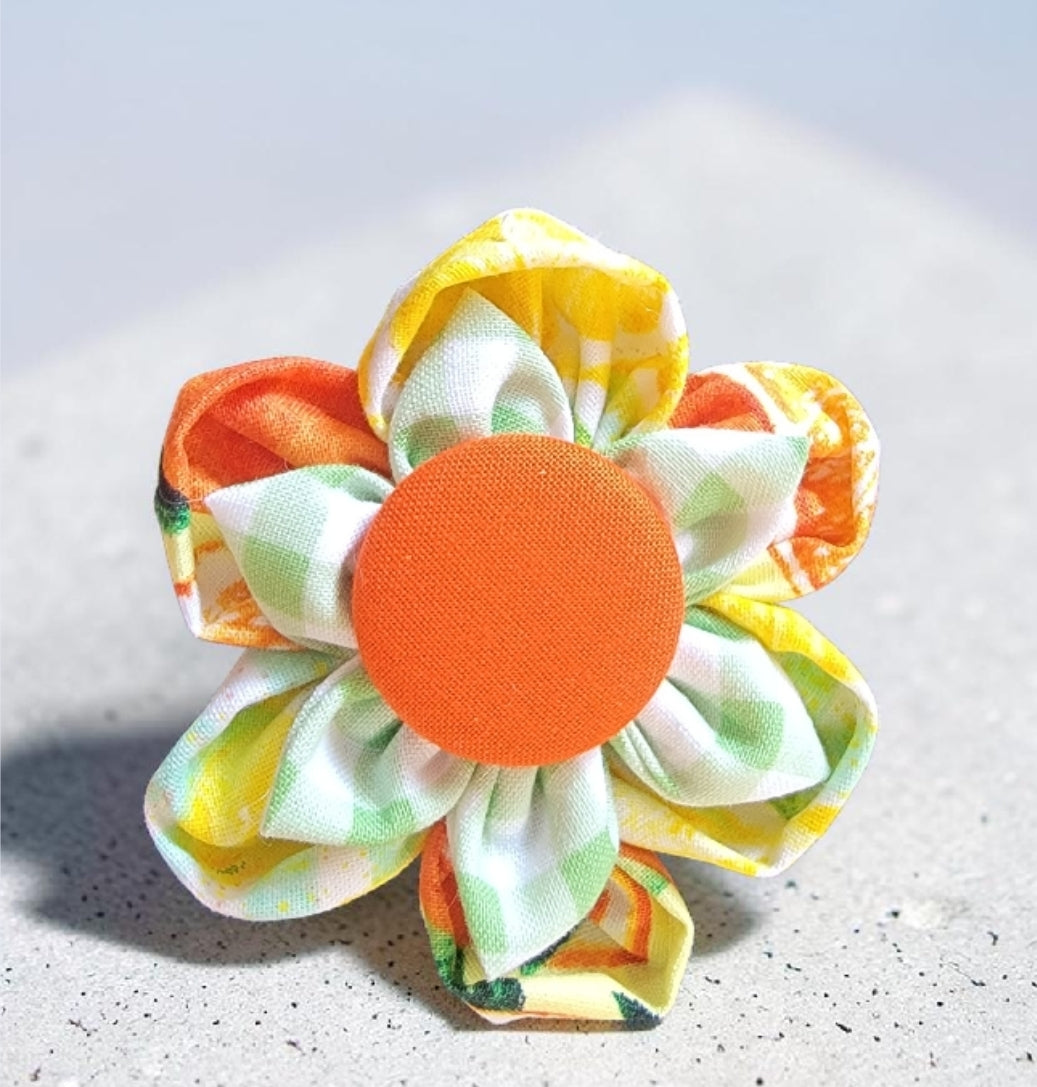 Citrus Dreams Pet Collar Flower