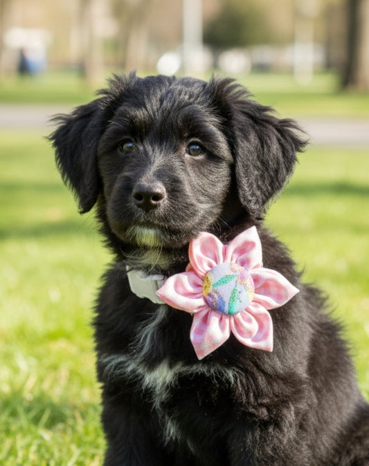 Pretty In Pink Gingham Collar Flower